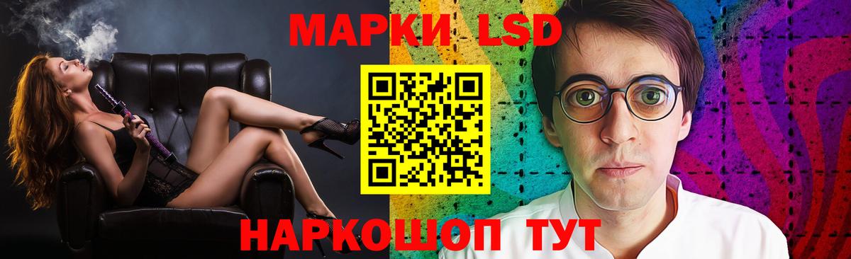 Бошки Шишки Димитровград