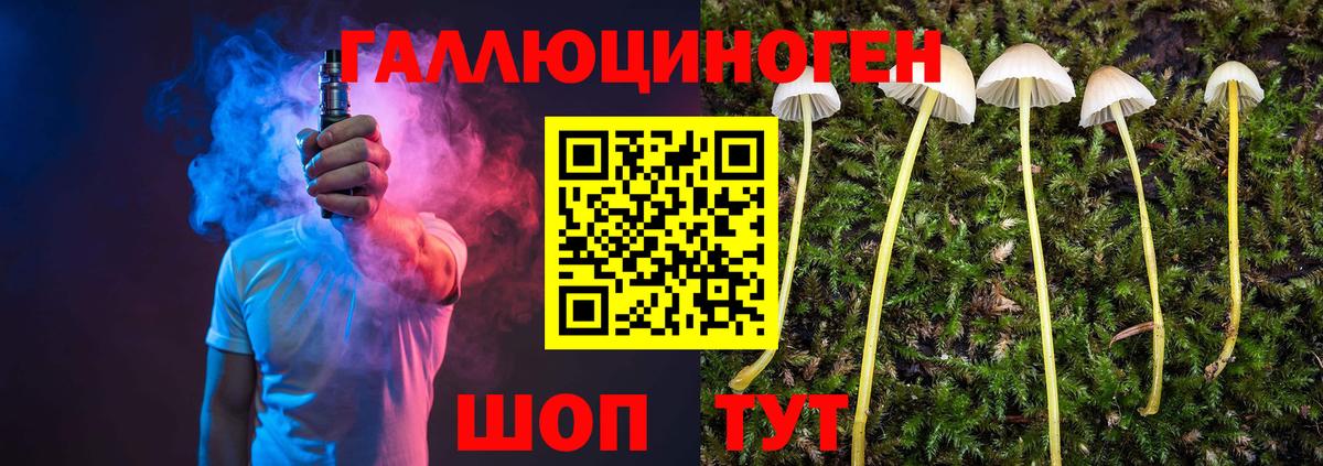 Галлюциногенные грибы GOLDEN TEACHER Димитровград